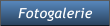 Fotogalerie Fotogalerie
