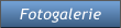 Fotogalerie